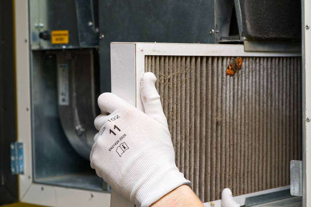 Best Residential Air Duct Cleaning  in Buffalo, WY